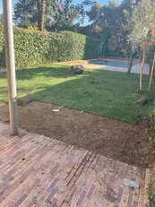 Podas y talas en altura Desbroces fincas y parcelas Podas y talas en altura Desbroces fincas y parcelas