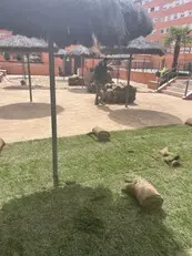 Podas y talas en altura Desbroces fincas y parcelas Podas y talas en altura Desbroces fincas y parcelas
